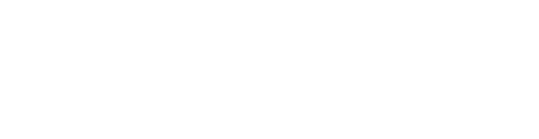 Brain Dynamics